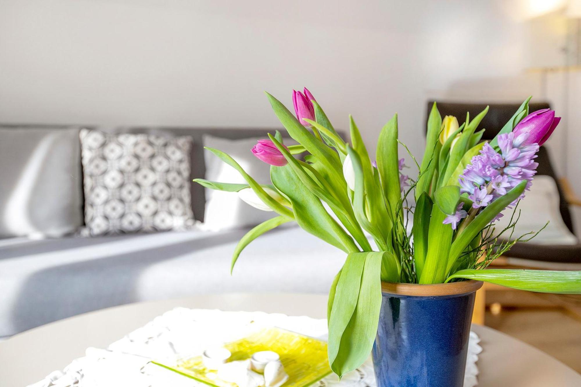 Ferienwohnung Kappeln - Kiekut 11 외부 사진